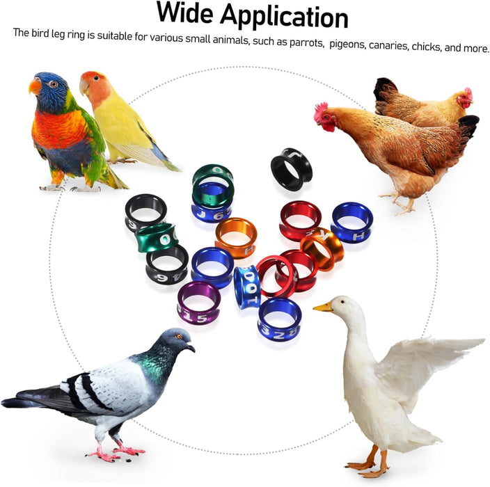 50 Pcs Bandas de distinción de Aves de Corral - Quierox - Tienda Online