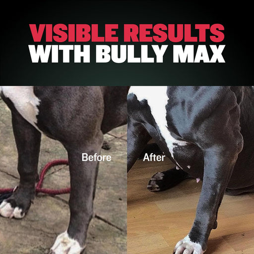 Bully Max - Liquido de construcción muscular para perros - Quierox - Tienda Online