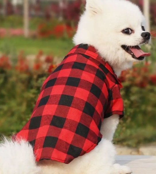 Camisas para perros a cuadros con lazo a la moda para perros pequeños - Quierox - Tienda Online