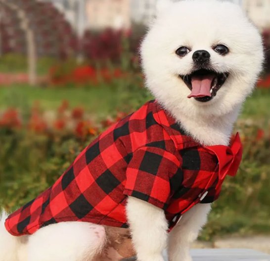 Camisas para perros a cuadros con lazo a la moda para perros pequeños - Quierox - Tienda Online