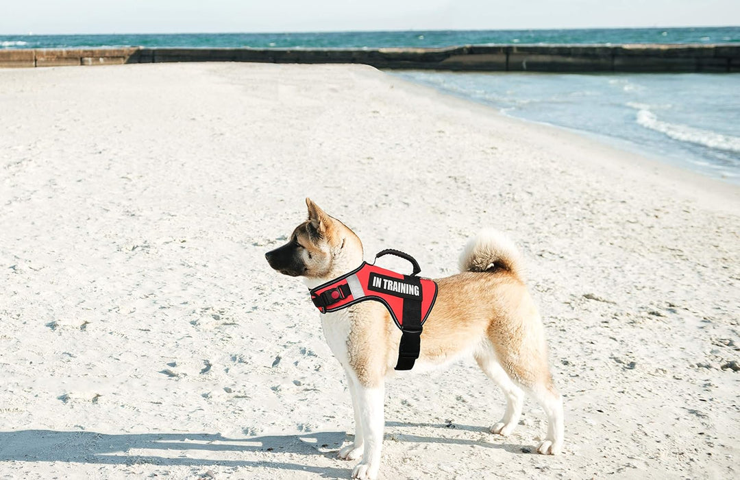 Dihapet Arnés para perro sin tirones, chaleco de perro de servicio - Quierox - Tienda Online