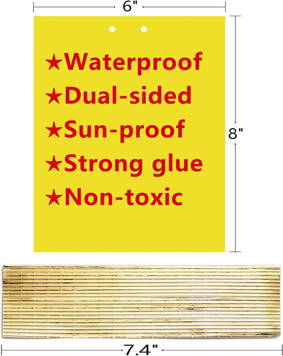 Garutom Paquete de 20 trampas adhesivas amarillas de doble cara para insectos - Quierox - Tienda Online