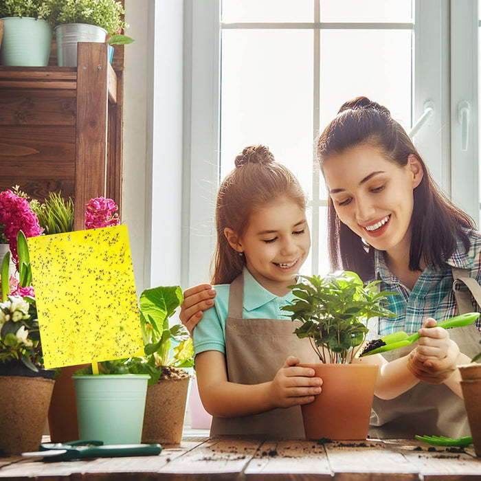 Garutom Paquete de 20 trampas adhesivas amarillas de doble cara para insectos - Quierox - Tienda Online