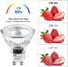 Mastery Mart - Bombilla LED GU10, equivalente a 50 W, 5,5 W regulable - Quierox - Tienda Online