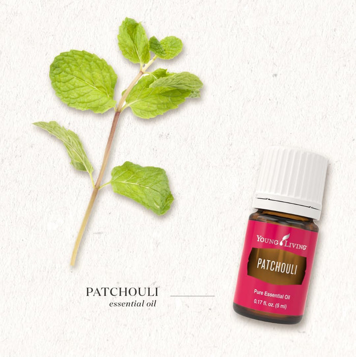 Young Living Aceite esencial de Pachulí - Quierox - Tienda Online