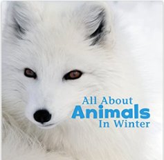 LIBRO All About Animals in Winter - Quierox - Tienda Online