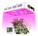 NAILGIRLS Luz LED de cultivo, lámpara de cultivo de 600 W para plantas - Quierox - Tienda Online